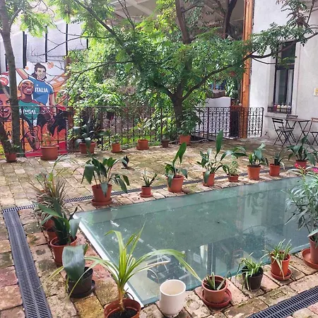 Goodmo Smart * Budapeste